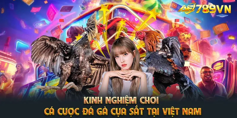 Kinh nghiệm chơi cá cược đá gà cựa sắt tại Việt Nam