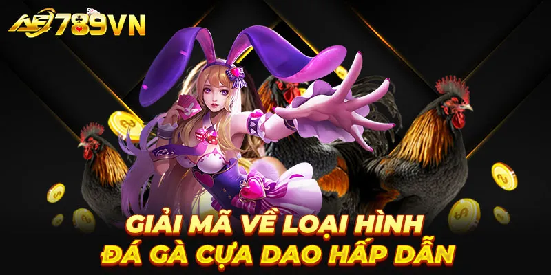 Giải mã về loại hình đá gà cựa dao hấp dẫn