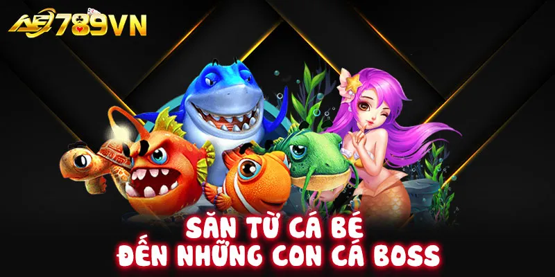 Săn từ cá bé đến những con cá boss