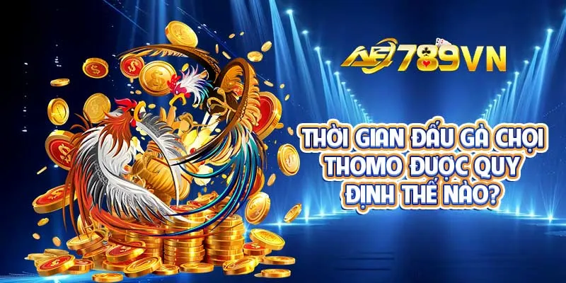 Thời gian đấu gà chọi Thomo được quy định thế nào?